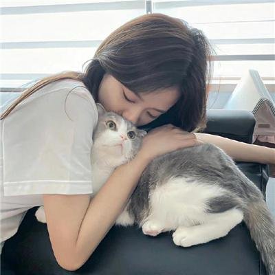 哈莉·奎茵第四季